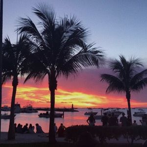 Meet your Posher, Ashley marie